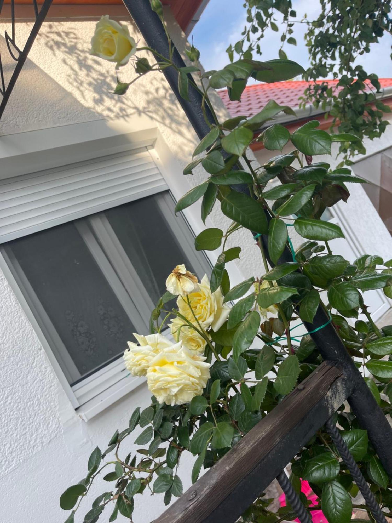 Valentina Apartman Balatonmáriafürdő Екстериор снимка